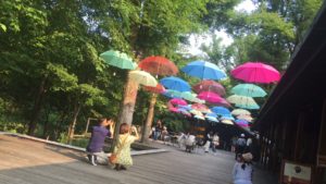 軽井沢星野リゾート(ハルニテラス)傘 アンブレラ