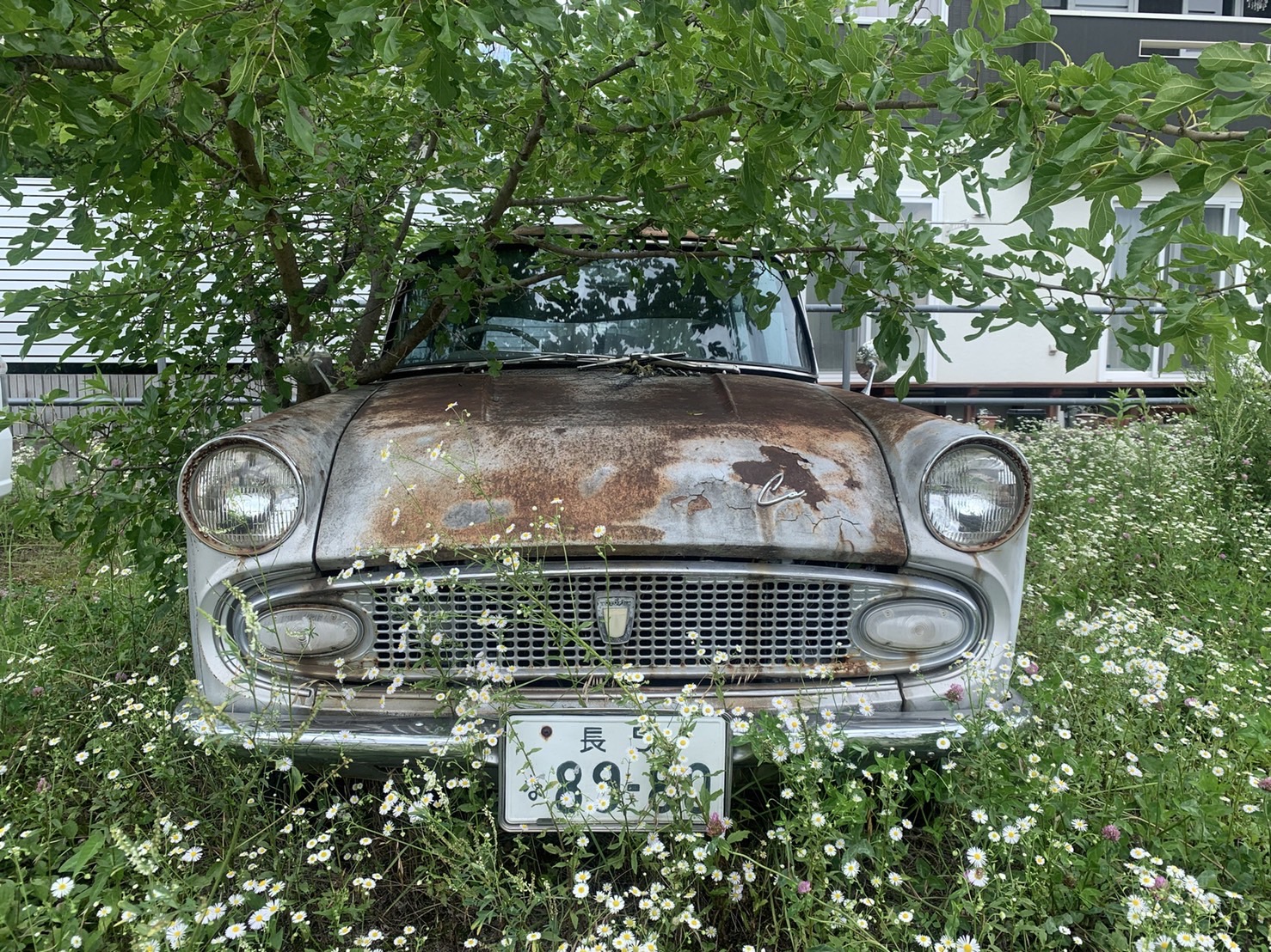 廃車二台 長野県草むらの中のヒーロー「草ヒロ」の旧車の買取り | 持ち主不明の